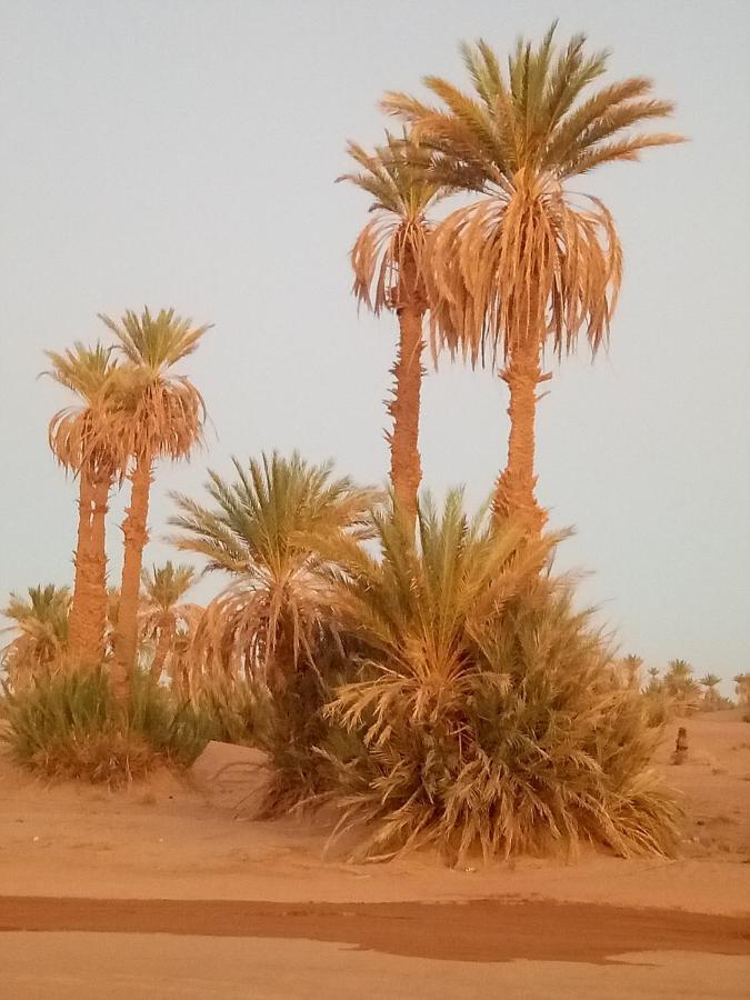 Hotel Sahara Peace Camp Zagora Exteriér fotografie