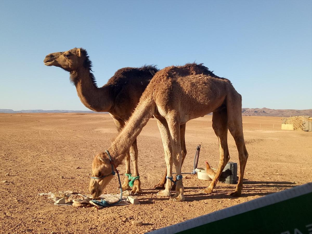 Hotel Sahara Peace Camp Zagora Exteriér fotografie